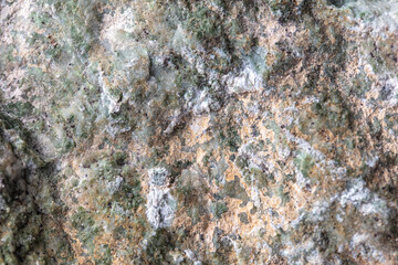 A rock with a greenish color and some white spots