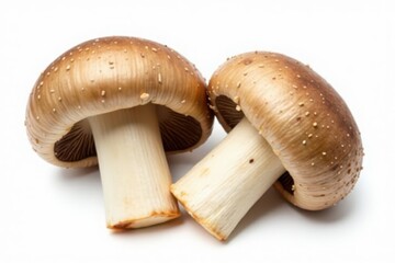 Fototapeta premium Perfect whole and halved champignons, pristine white background , ingredient, whole, background