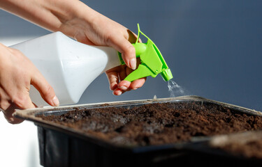A person is spraying a plant with a green spray bottle