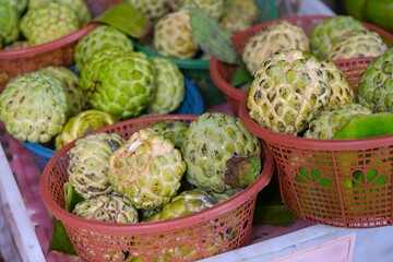 Pile of Srikaya fruits or sugar apple, custard apple, sweetsop , buah nona , annona squamosa in...