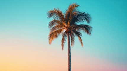 Obraz premium Palm tree against a colorful sky at sunset. Tropical nature background.