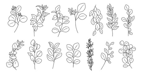 Line art eucalyptus branches, leaves set. Outlined vintage botanical drawing. Trendy greenery elements for logo, tattoo, packaging, wedding invitations. Vector illustrations © Creative_Juice_Art