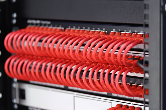 An Ethernet data switch connected to patch panels using patchcords. Installed in a telecommunications rack. 