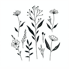 botanical flowers vector