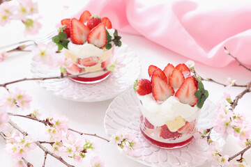 Strawberry Trifle - Cherry Blossom Viewing Sweets　いちごのトライフル　お花見スイーツ