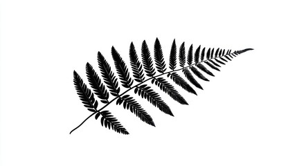 Obraz premium Black fern frond, isolated, white background, botanical illustration, design element