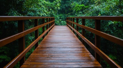 Wooden bridge in the forest. The bridge is surrounded by green trees and plants. Concept of nature, travel, and adventure.