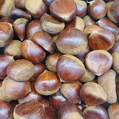 chestnuts on the market. Sweet chestnut as background texture. Ripe kastanye sweet chestnut close up. Castanea sativa. food background