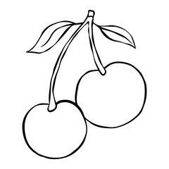 illustration of cherry with leaf