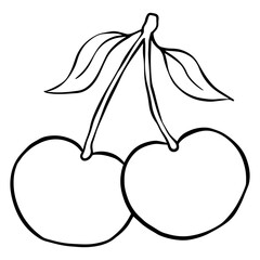 illustration of cherry with leaf