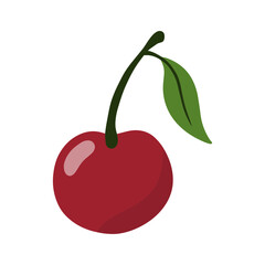 illustration of cherry vector
