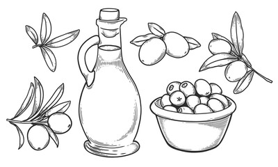 Olive set in line art style. Engraving. Vector set of olive branches, bottle of olive oil, olives in a bowl. Hand drawn sketch