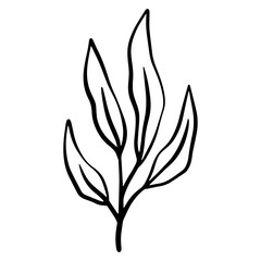 botanical green leaf hand drawn illustration