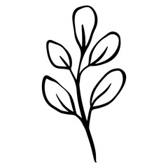 botanical green leaf hand drawn illustration