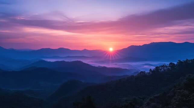 High-Resolution Nature Shot