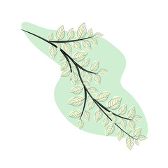 vector illustration of a branch with leaves
