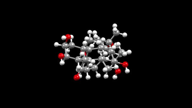 Structure of insect steroid hormone 20-hydroxyecdysone. Animated 3D ball-and-stick and spacefill models, black background