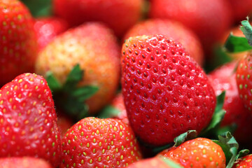 Close-up image showcases a selection of fresh, ripe strawberries with vibrant red hues