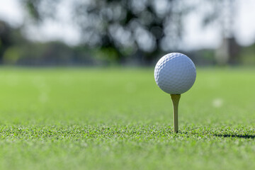 White golf ball on wooden tee on green grass background, Golf ball on tee ready to be shot, Golf ball close up on green grass.