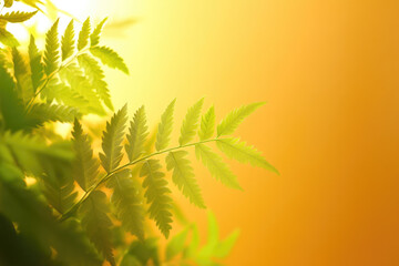 vibrant green fern leaf is illuminated against warm, golden background, creating serene and natural atmosphere. soft lighting enhances leaf delicate texture and intricate details