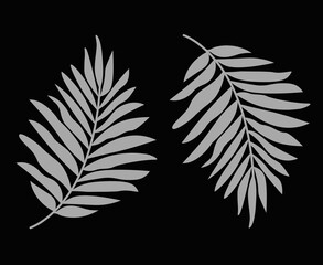 Fototapeta premium Abstract botanical composition collage with palm leaf plant silhouettes in grey with a black background