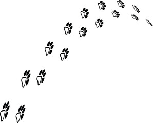 walking  dog paw 