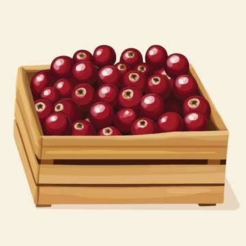 red cranberries wooden crate clip art preview