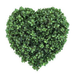 Heart symbol made of leaves and flowers transparent background