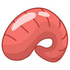 Coral Illustration Set