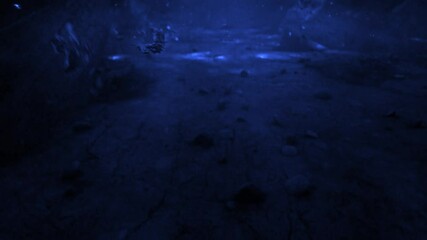 phoenix Fire bird. flaming phoenix intro. Fire bird element overlay