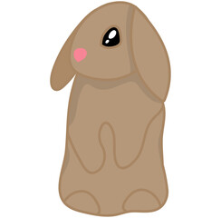 Rabbit Cute Pose  Illustration Set