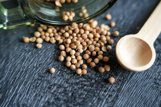 Coriander seeds roll out of a glass jar lying on a dark wooden board. Small wooden measuring spoon