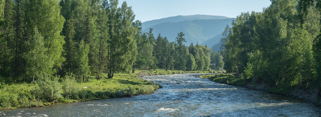 Wild taiga river, summer landscape, panoramic view