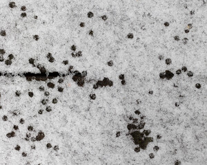 Top view, snow texture. Background, winter period