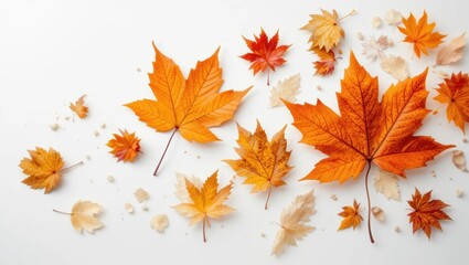 Colorful Autumn Leaves in Vivid Shades of Orange and Yellow on a White Background