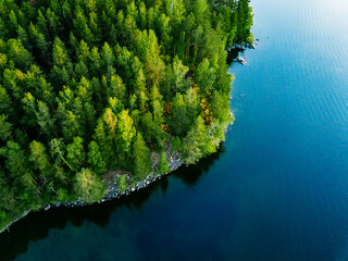 Aerial view of blue lake with green tree woods on a sunny summer day in Finland.