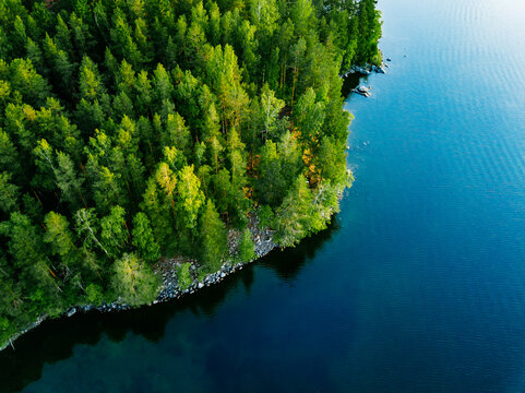 Aerial view of blue lake with green tree woods on a sunny summer day in Finland. - Powered by Adobe