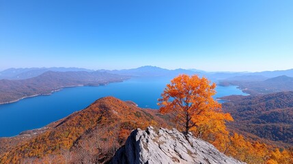 Vibrant autumn landscape with a lake view.