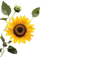 Obraz premium Sunflower's Golden Gaze: A solitary sunflower stands tall with its bright yellow petals and dark center, creating a beautiful and cheerful image