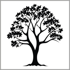 Tree Silhouette, Forest