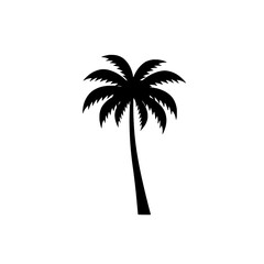 Obraz premium Silhouette of a Tropical Palm Tree: A simple yet striking black silhouette of a tall, elegant palm tree, embodying the essence of tropical landscapes.