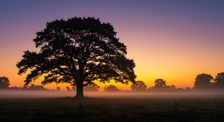 Majestic silhouette of a solitary tree at sunrise in a misty field with vibrant colors illuminating the early morning sky. Generative AI