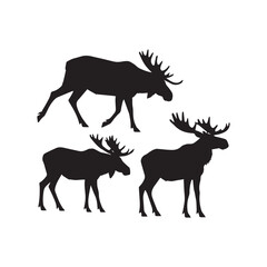 A set of three moose silhouettes in black, isolated on a white background