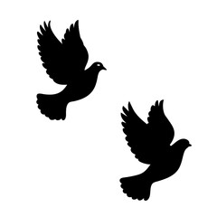 Obraz premium Dove silhouette vector 