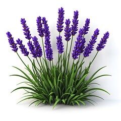 Naklejka premium Vibrant lavender flowers in full bloom.