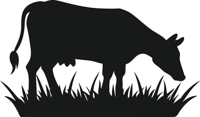 Silhouette of a Cow Grazing in a Field