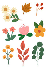 Flowers illustration