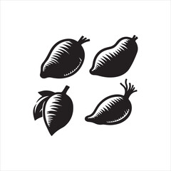vector illustration of a set of seashells