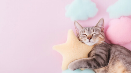 Sleeping grey tabby cat hugging plush star on pink background