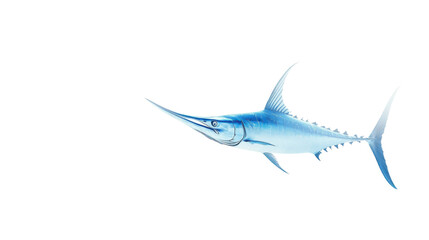 Fototapeta premium swordfish fish isolated on white background